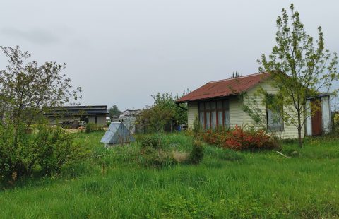 Parduodamas sklypas Panevėžio m., Žolynų g.