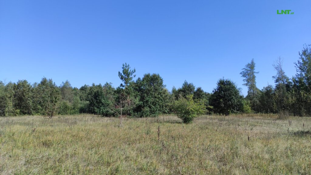 RAI549
