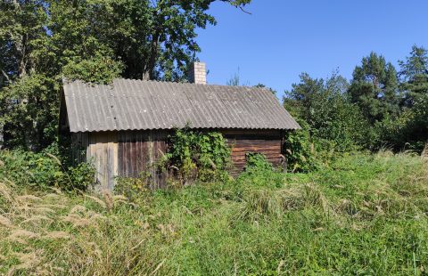 Parduodamas sklypas Kupiškio r. sav., Paviešinčių k.